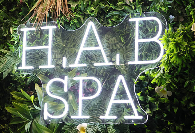 Neon lights reading 'H A B Spa'